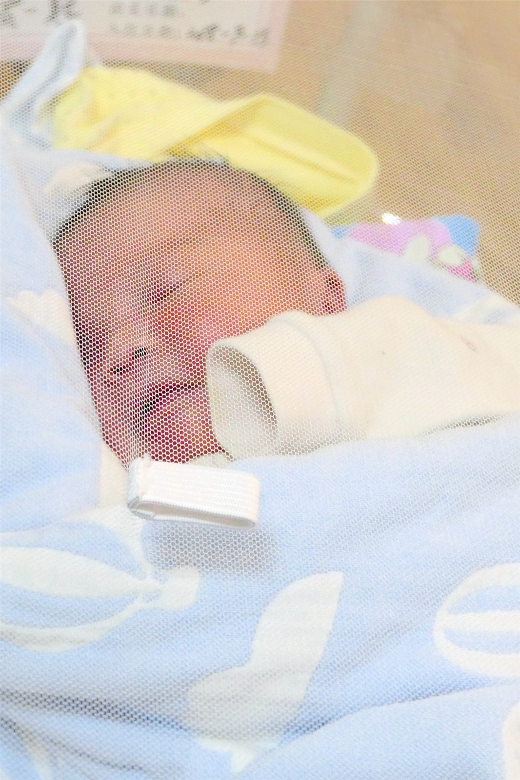 19.窗外风雨影响不到雯雯宝宝的美梦。佛女 摄.JPG