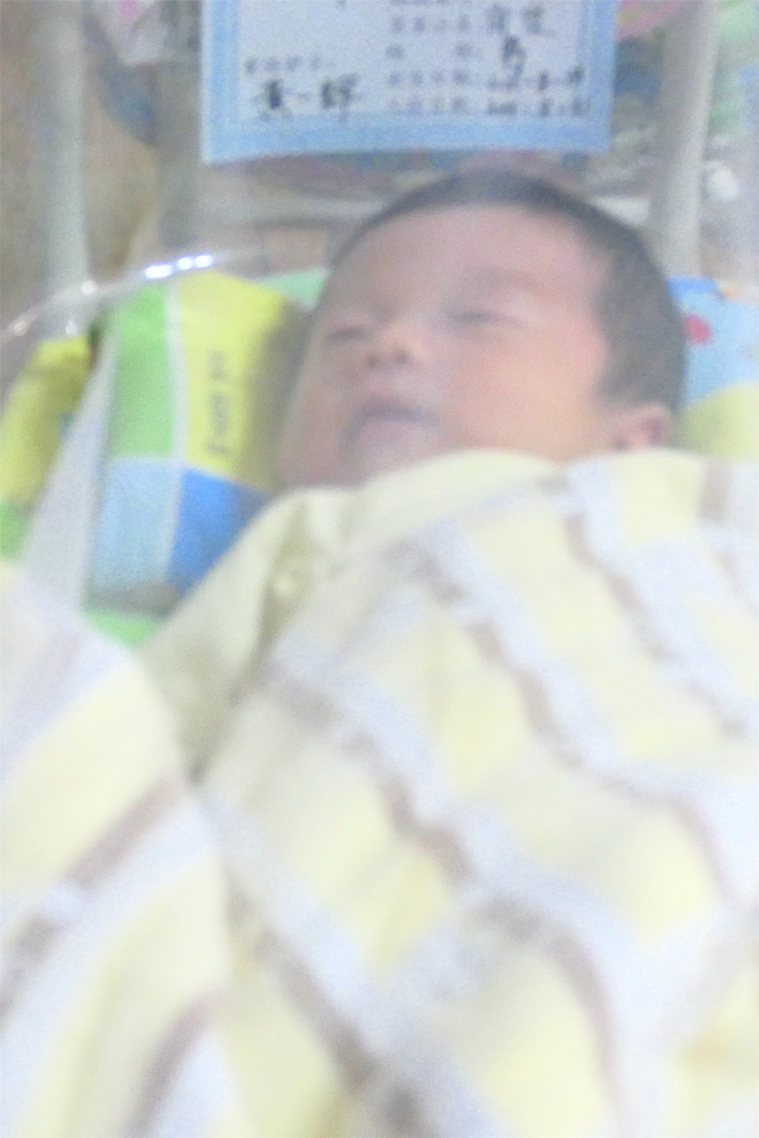 21.俊俊宝宝又重新入睡了。佛女 摄.JPG